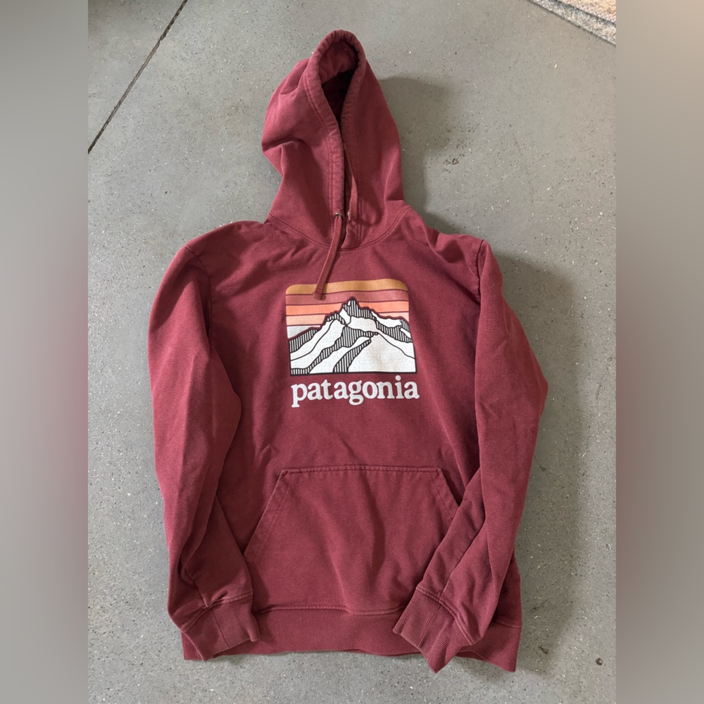 Patagonia Men's Burgundy Hoodie